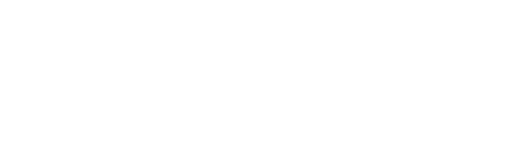 Leva Logo